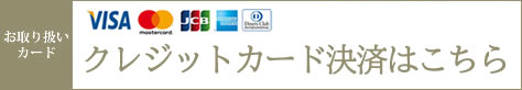 横浜関内メンズエステＬｙｎｘ(リンクス)のクレジットカード決済